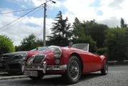 alfa for sale